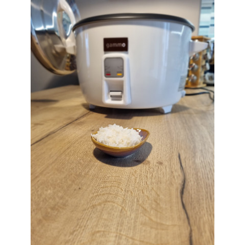 GAMMO electric rice cooker 10 liters