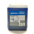 GAMMO SHINE machine rinse aid 5 Liter