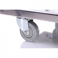 GAMMO platform trolley - 150kg